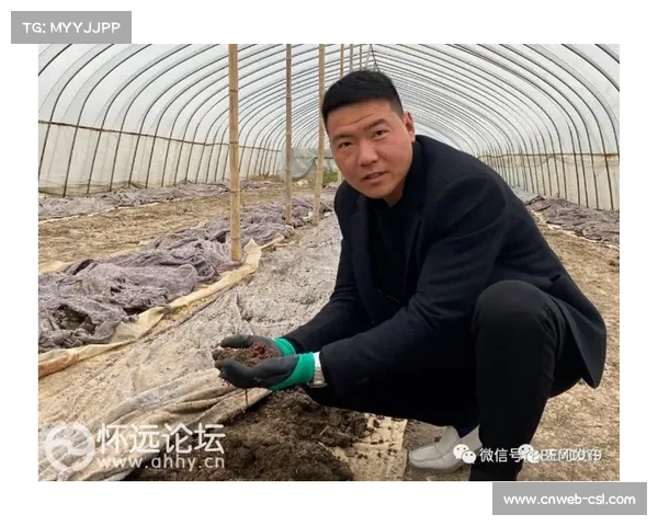 退役球员创业故事，商业领域成功案例